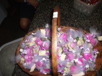 /album/galeria-de-fotos/imagem-190-jpg/